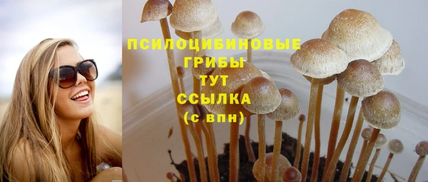 дмт Вязники