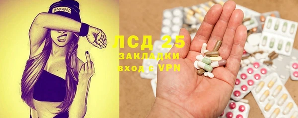 спиды Вяземский